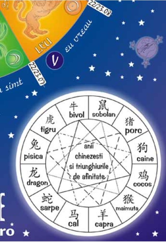 Reducere de pret Afiș Astrologie - Tema fundamentală